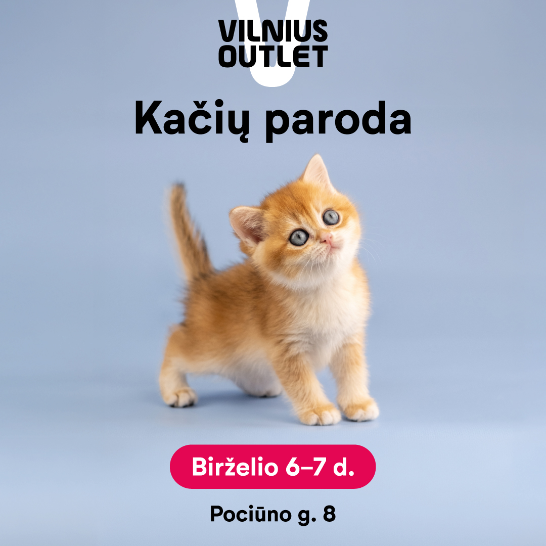 Kačių paroda | Birželio 6-7 d.